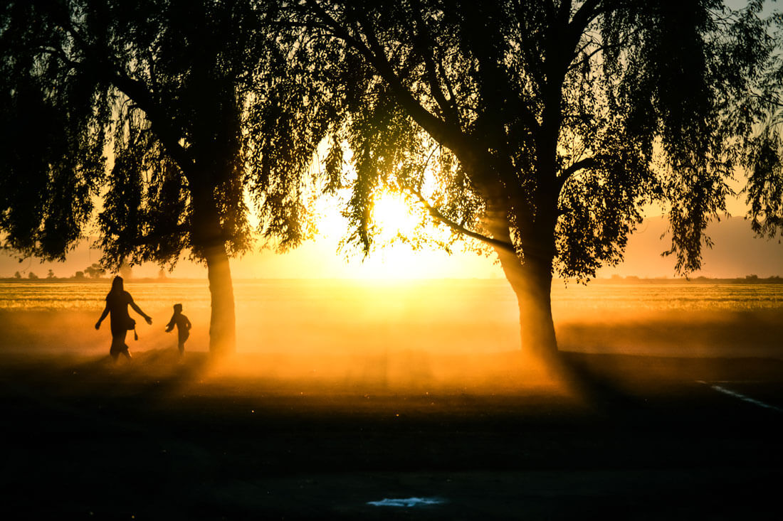 yellow_sunlight_and_dark_shade.jpg
