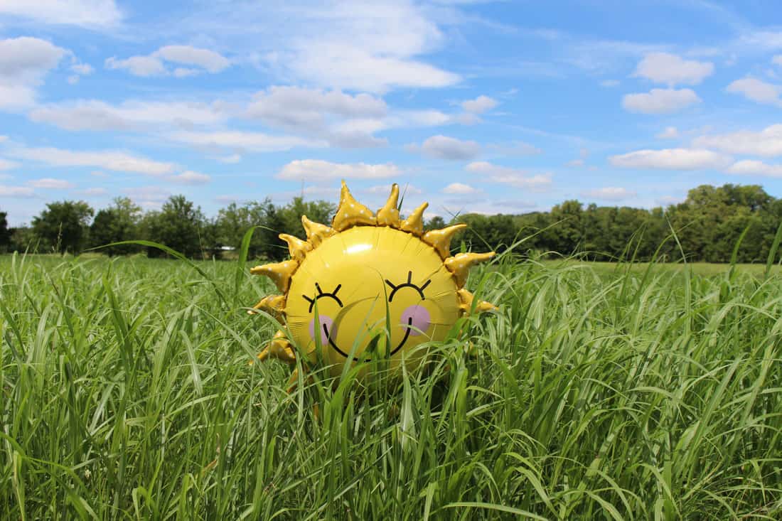 care-sun.jpg