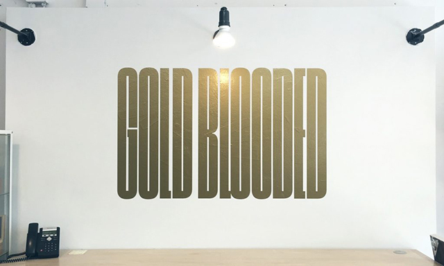 15674995364028.jpg